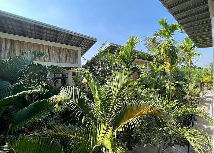 Treetop Bungalows Aparthotel
