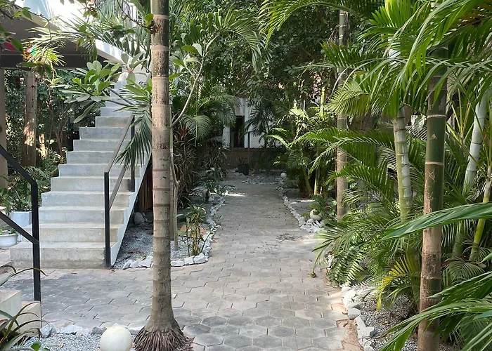 Aparthotel Treetop Bungalows